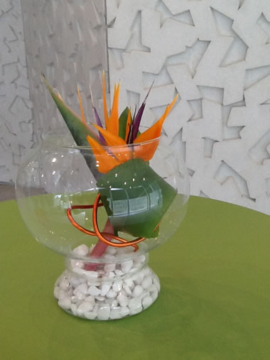 Ilex Cocktails