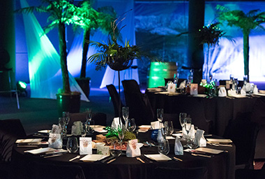 Meeting Luncheon (Auckland)
