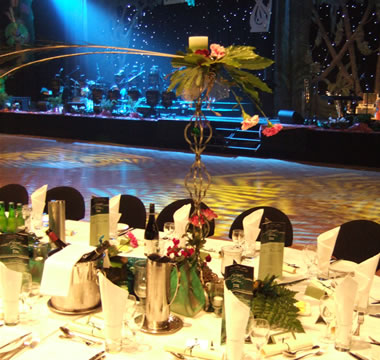 Enchanted Forest