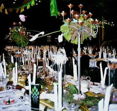 Safari sponsors' table
