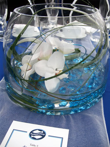 Orchids