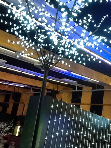 Entrance Lights