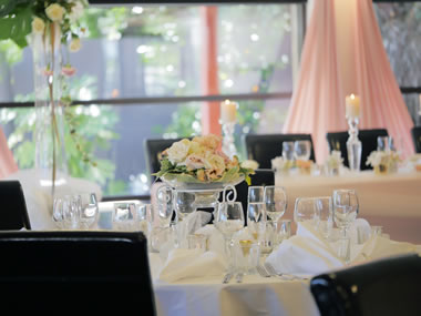 Blush Theme