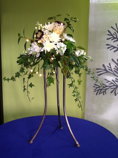 Protea Cascade